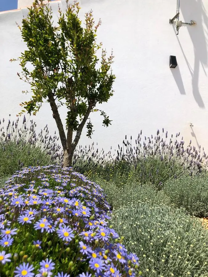 Quinta Do Planalto Vicentino - Casas De Campo Aljezur Portugalsko